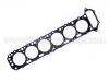 Cylinder Head Gasket:11044-W2500