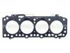 прокладка цилиндра Cylinder Head Gasket:11044-9C601