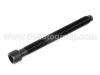 缸蓋螺栓 Cylinder Head Bolt:058 103 385 B