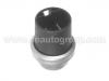 Temperature Sensor:251 919 501
