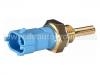 Temperature Sensor:13 38 467