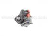 Power Steering Pump:4007.Y8