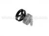Power Steering Pump:4007.P6