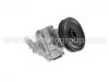 Power Steering Pump:4007.C9