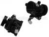 Power Steering Pump:4007.A8