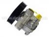 Power Steering Pump:4007.N6