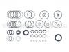 Steering Gasket Set:4A1 498 020 A