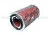 воздушный фильтр Air Filter:16546-J5570