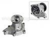 Водяная помпа Water Pump:21010-02P25