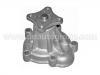 Водяная помпа Water Pump:21010-01M00