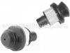 Door Cantact Switch:6N0 947 563
