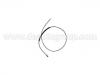 Bonnet Cable:1C1 823 531 B