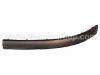 Bumper Assy:3B0 807 717 B41
