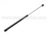 Gas Spring:1H6 827 550 A