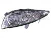 Headlight:81170-33520