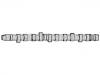 распределительный вал Camshaft:074 109 101 J