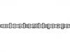 распределительный вал Camshaft:075 109 101 C