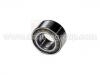 Wheel Bearing:40210-50Y00