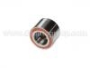 Wheel Bearing:40210-61A05