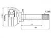Gelenksatz, Antriebswelle CV Joint Kit:303855