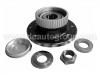 Radnabe Wheel Hub Bearing:3748.41