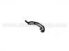 Kühlerschlauch Radiator Hose:1J0 121 086 R