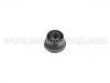 Suspension Bushing:96 110 483