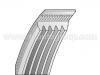 многоклиновый  ремень  V-Ribbed Belt:5PK 875