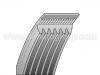 многоклиновый  ремень  V-Ribbed Belt:6PK 995