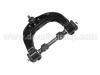 Control Arm:MR124880
