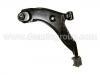 Control Arm:54500-22200
