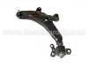 Control Arm:54500-29000