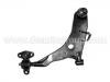 Control Arm:54500-35110