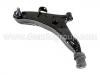 Control Arm:54500-34010