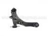 Control Arm:54501-2D000