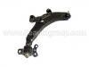 Control Arm:54501-29000
