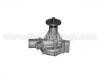 Водяная помпа Water Pump:21010-66000