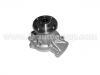 Водяная помпа Water Pump:21010-52F00
