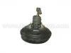 Brake Booster:77 00 829 805