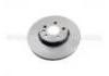 Brake Disc:7M3 615 301